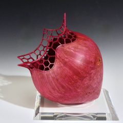 Violet-red Bigleaf Maple Burl Heartform, (2025) Violet-red Bigleaf Maple Burl Heartform, (2025)